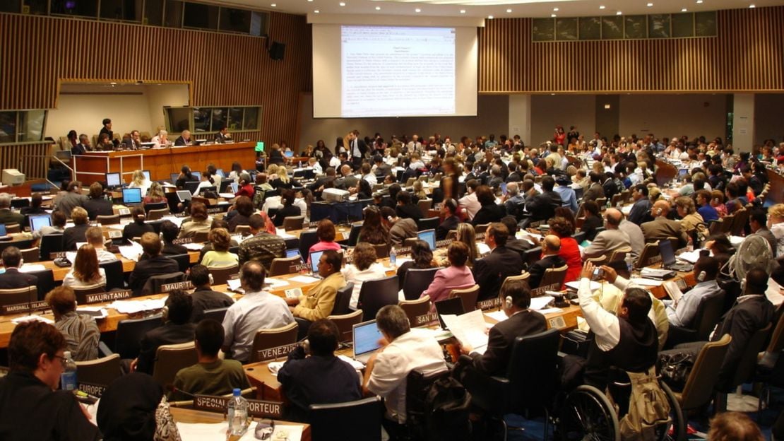 Verabschiedung der UN-Behindertenrechtskonvention in New York 2006. © C. Dixon/HI
