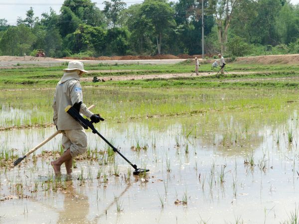 Entminer durchsuchen ein Reisfeld in Laos nach Streubomben.